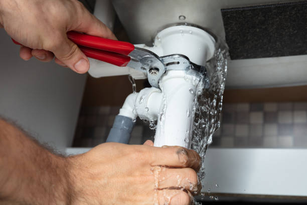 Best Flooded house restoration  in Dearborn, MI