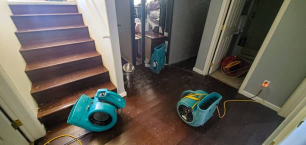 Best Commercial water damage restoration  in Dearborn, MI