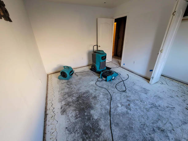 Best Water damage restoration company  in Dearborn, MI