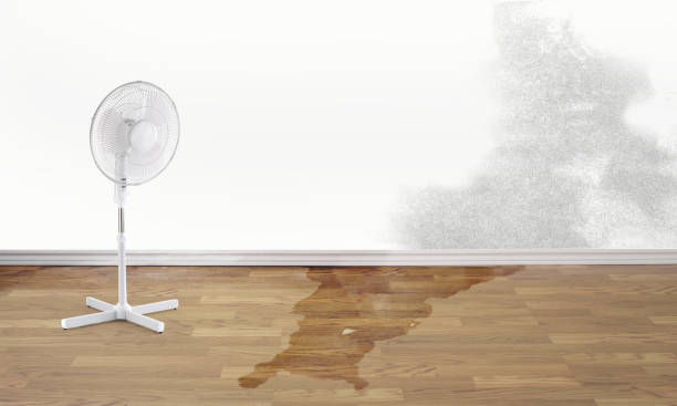 Best Commercial water damage restoration  in Dearborn, MI