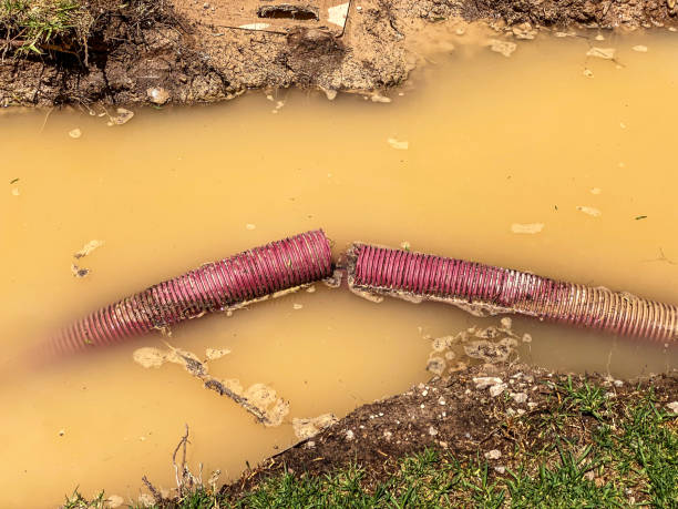 Best Flood restoration services  in Dearborn, MI