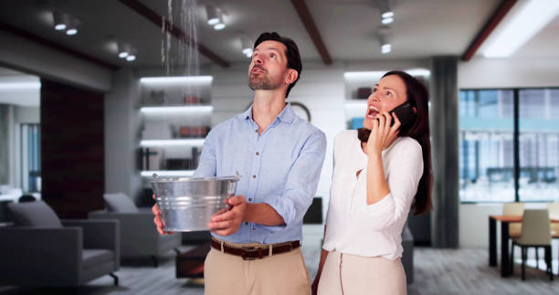 Best Fire Damage Restoration  in Dearborn, MI
